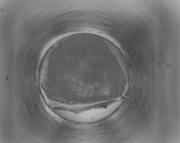 X0000065261535200603131150