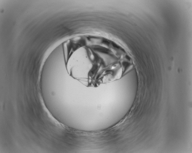 X0000065261536200603131150