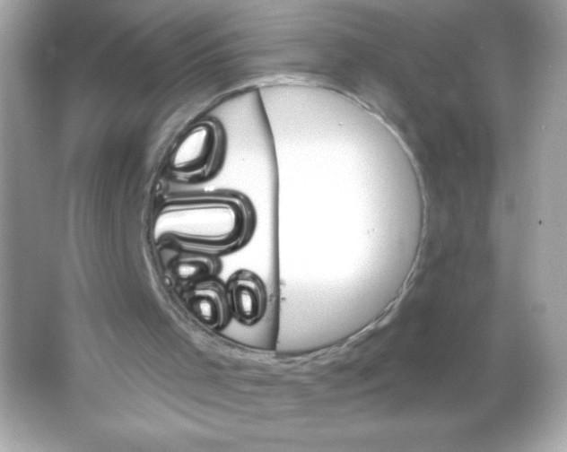 X0000065260001200603172242