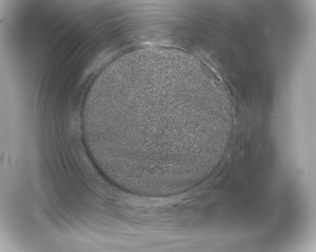 X0000065260002200603172242