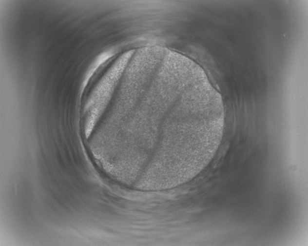 X0000065260003200603172242