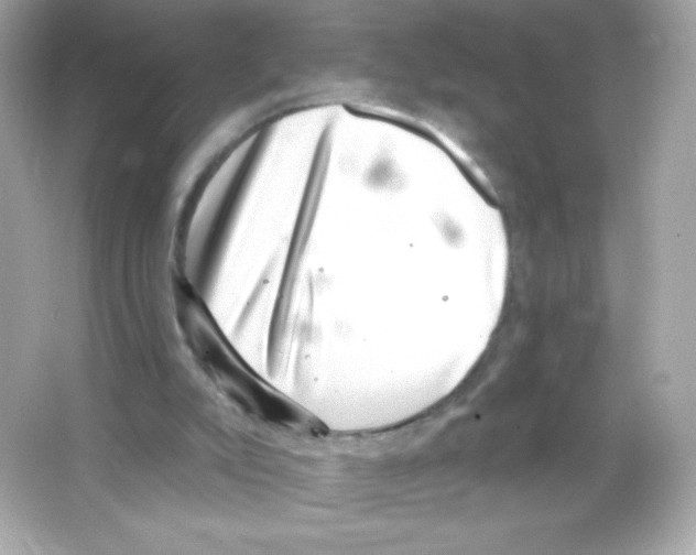 X0000065260007200603172242