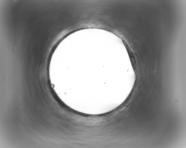 X0000065260008200603172242