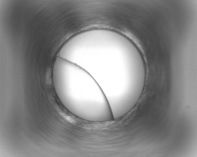 X0000065260009200603172242