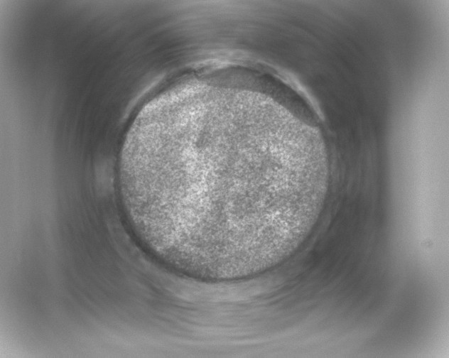 X0000065260010200603172242