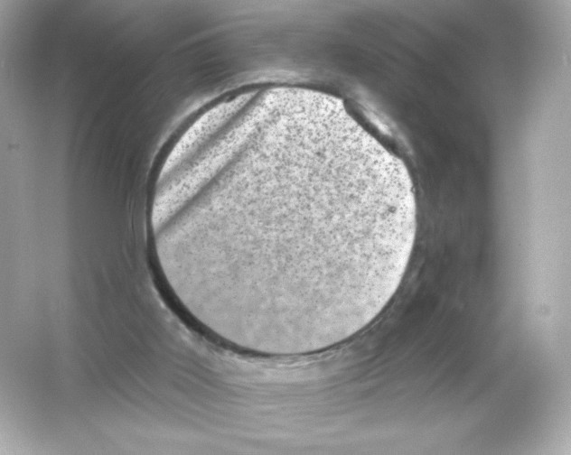 X0000065260011200603172242