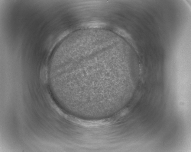 X0000065260012200603172242