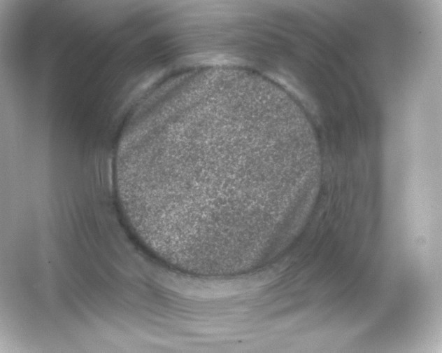 X0000065260014200603172242