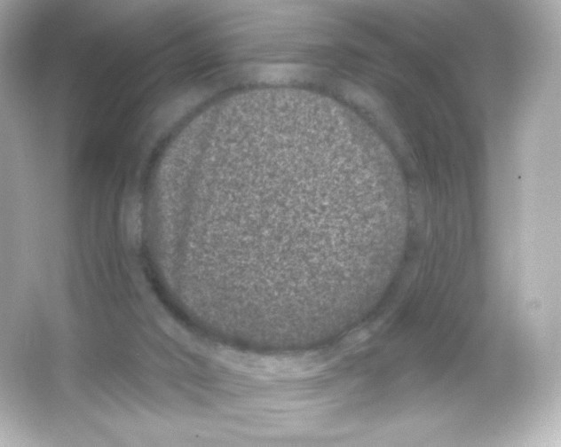 X0000065260016200603172242