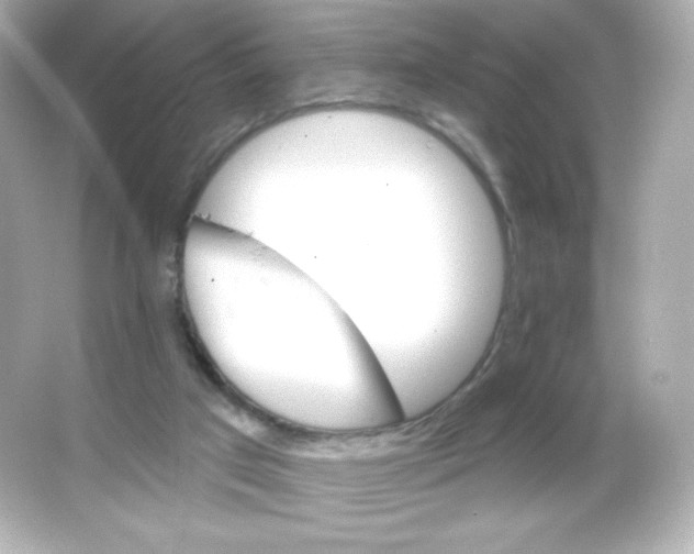 X0000065260017200603172242