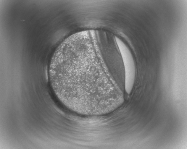 X0000065260020200603172242