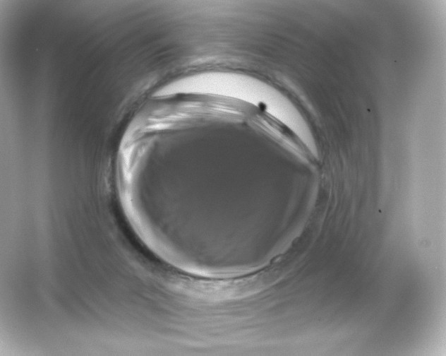 X0000065260023200603172242