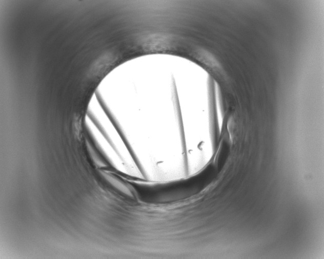 X0000065260025200603172242