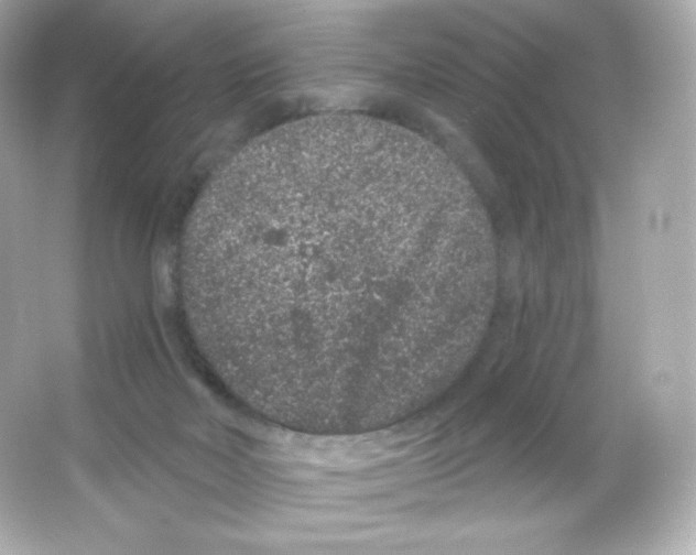 X0000065260026200603172242