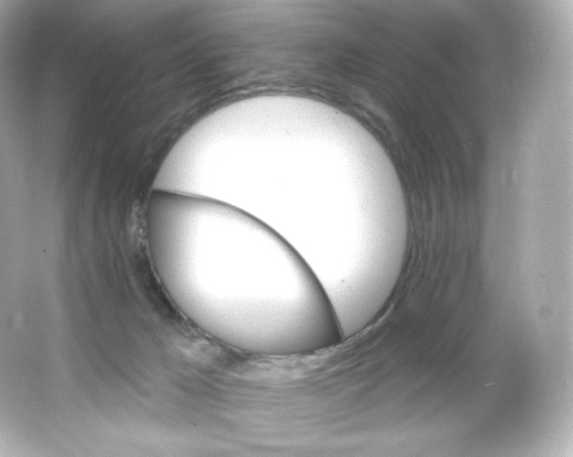 X0000065260029200603172242