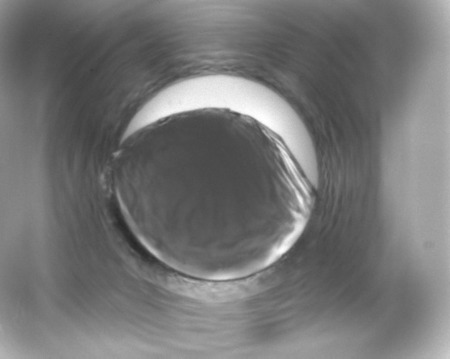 X0000065260031200603172242