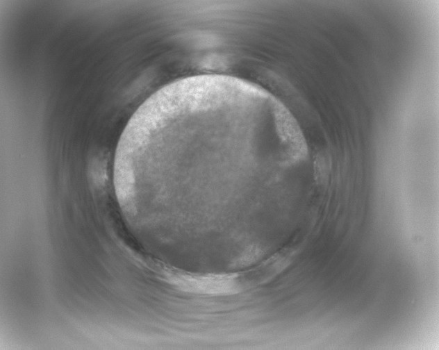 X0000065260032200603172242