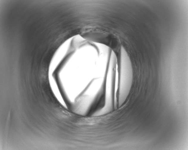 X0000065260033200603172242