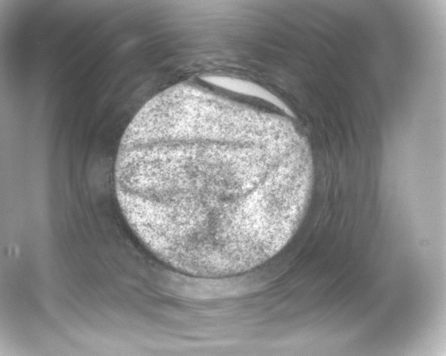 X0000065260034200603172242