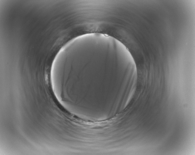 X0000065260035200603172242