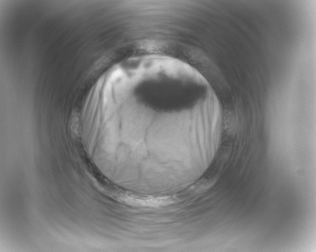 X0000065260036200603172242