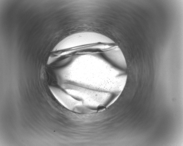 X0000065260038200603172242