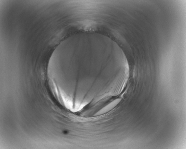 X0000065260039200603172242