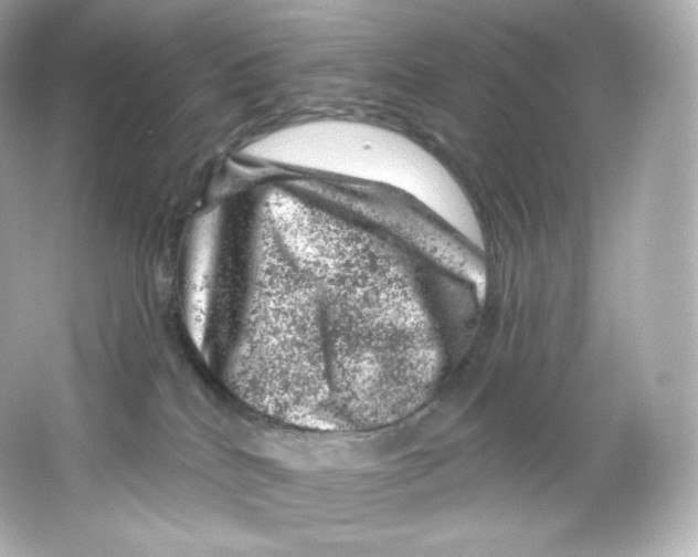 X0000065260040200603172242