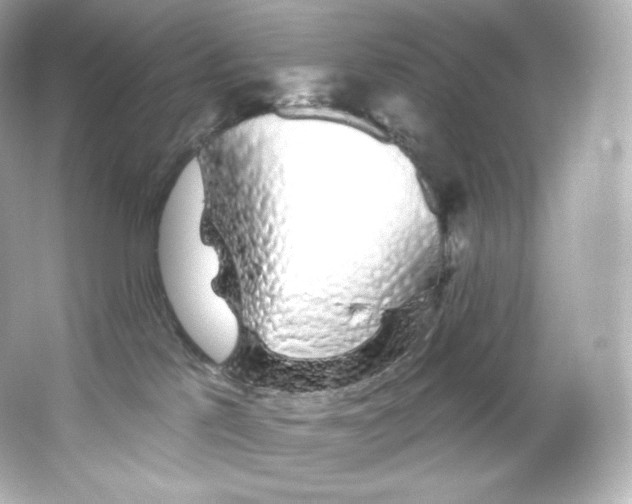 X0000065260041200603172242