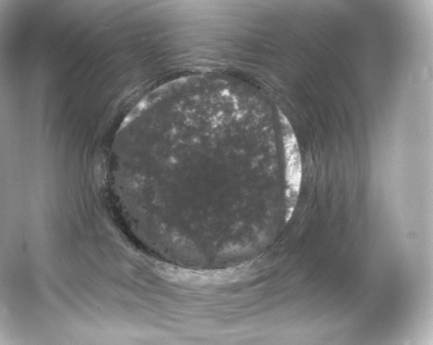 X0000065260043200603172242