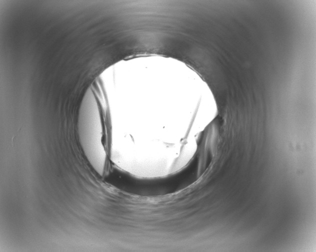 X0000065260045200603172242