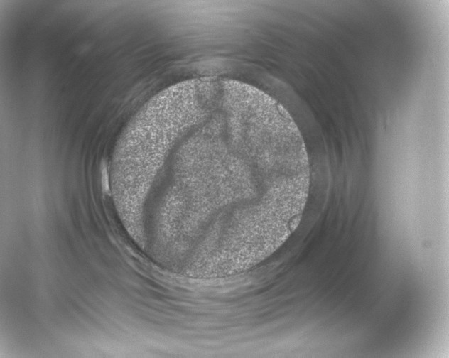 X0000065260046200603172242