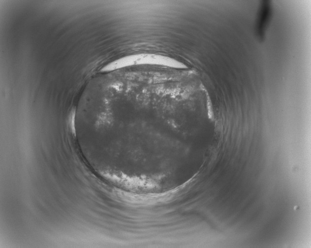 X0000065260047200603172242