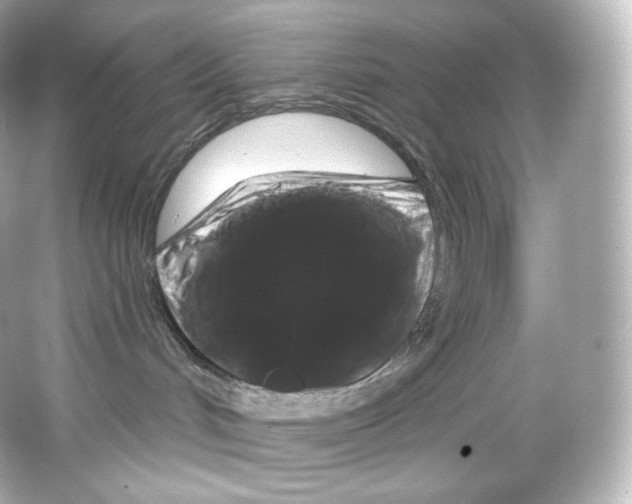 X0000065260048200603172242