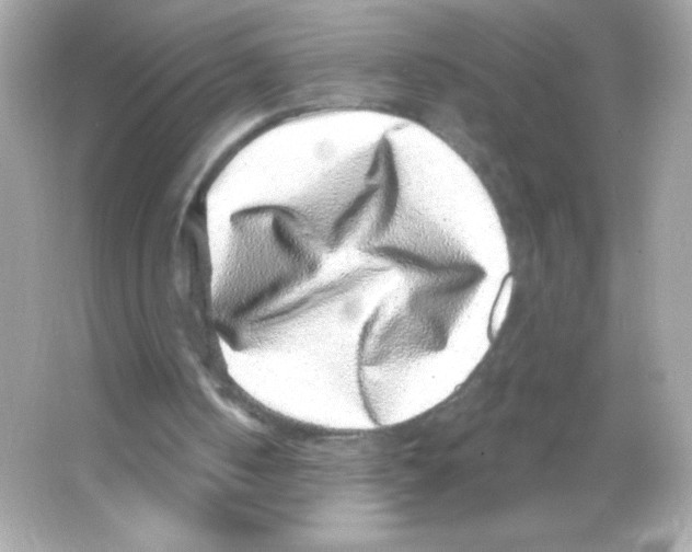 X0000065260050200603172241