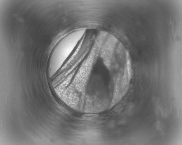 X0000065260051200603172241