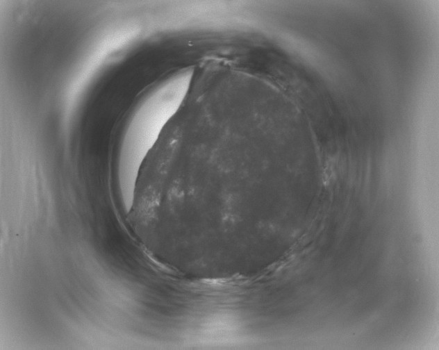 X0000065260052200603172241