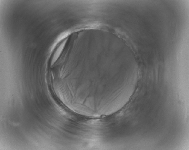 X0000065260054200603172241