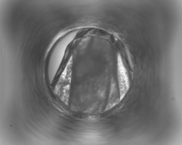 X0000065260056200603172241