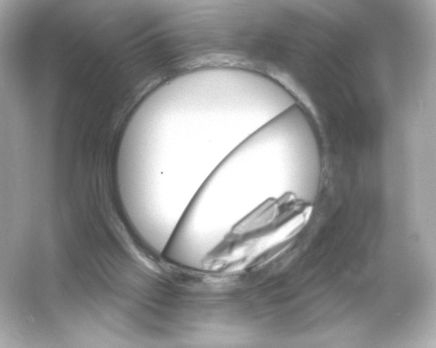 X0000065260057200603172241