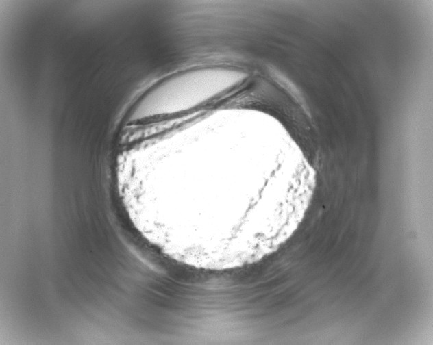 X0000065260059200603172241