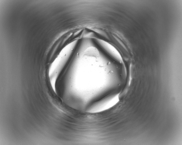 X0000065260060200603172241