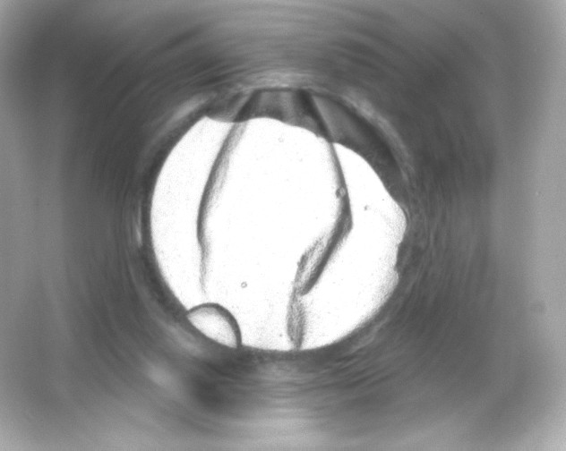 X0000065260062200603172241