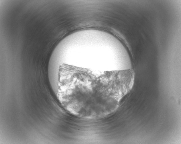 X0000065260065200603172241