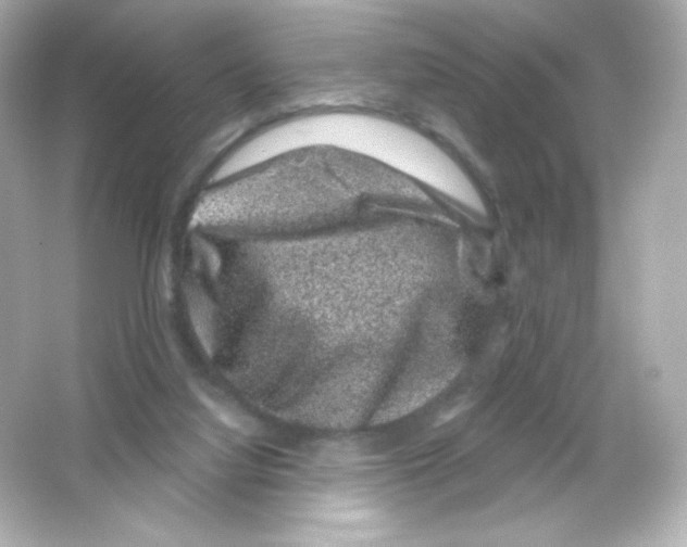 X0000065260068200603172241