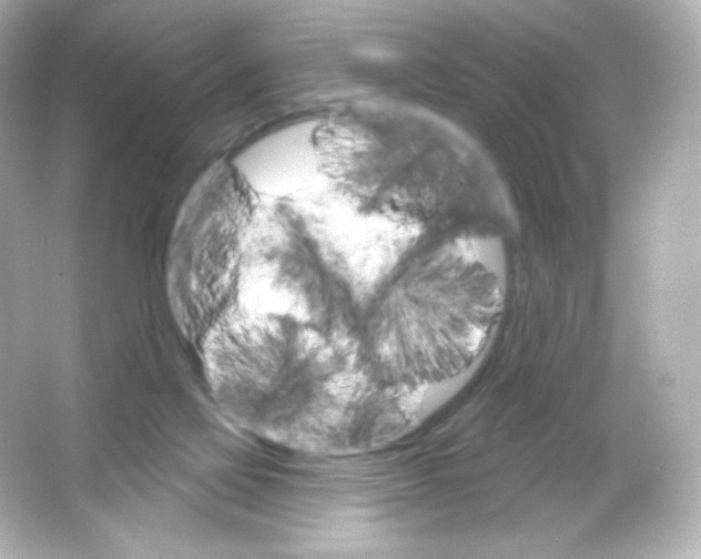 X0000065260069200603172241