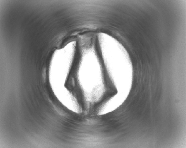 X0000065260070200603172241