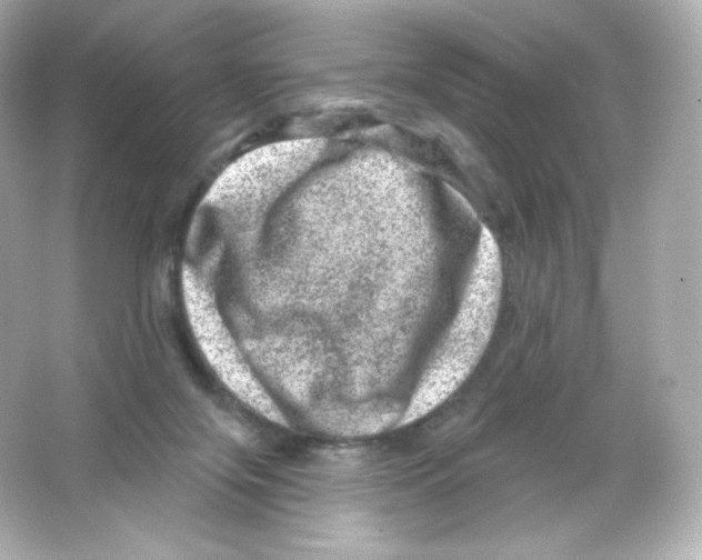 X0000065260071200603172241