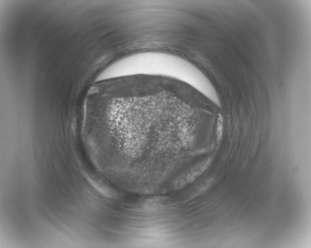 X0000065260072200603172241