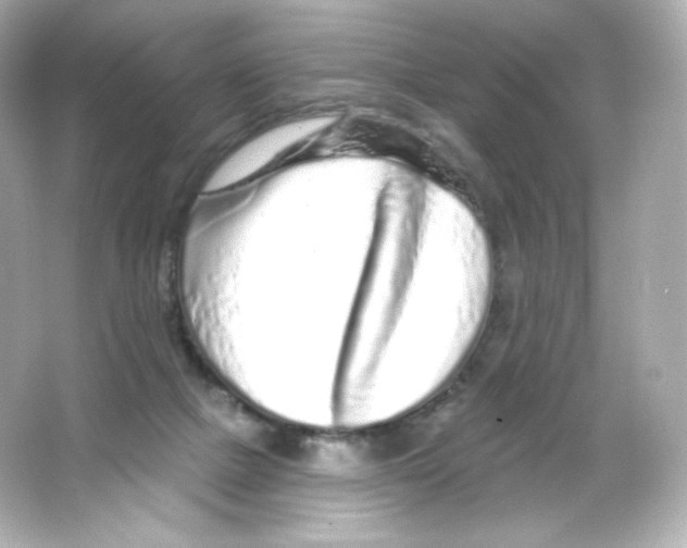 X0000065260073200603172241